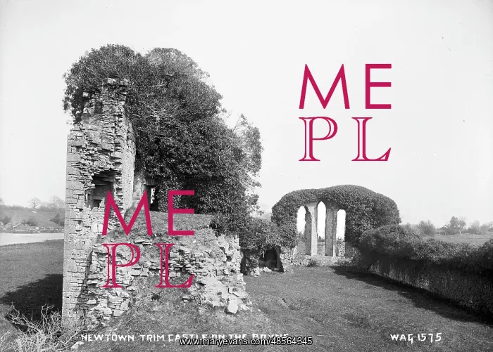 : Newtown Trim Castle on the Boyne : Newtown Trim Castle on the Boyne