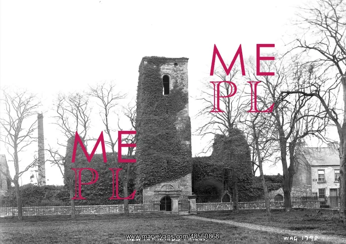 : Newtownards Priory : Newtownards Priory