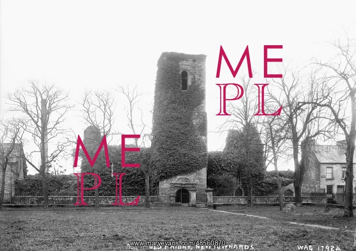 : Newtownards Priory : Newtownards Priory