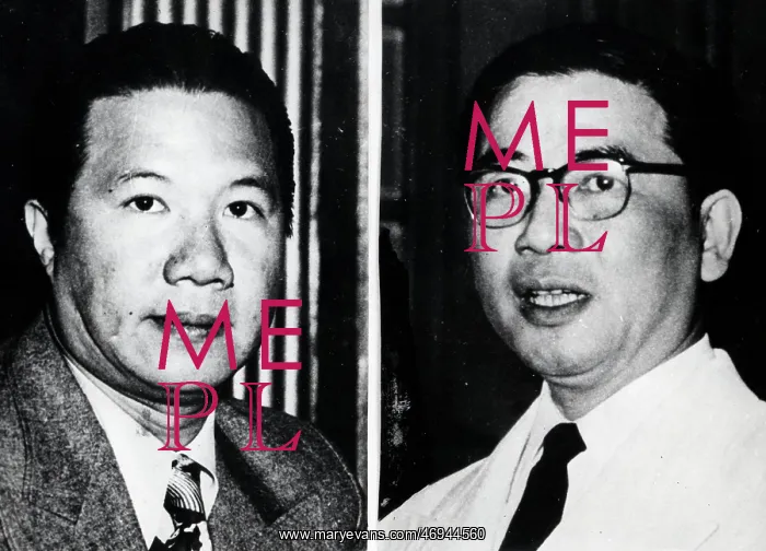 : Ngo Dinh Diem : Ngo Dinh Diem