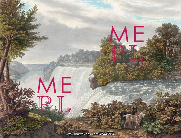 : Niagara Falls : Niagara Falls