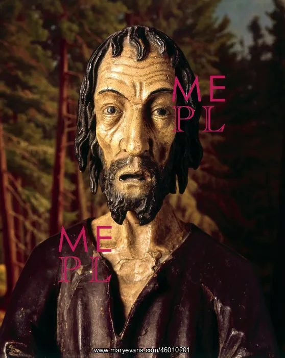 : Nicholas of Flue : Nicholas of Flue