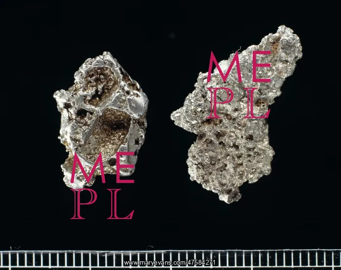: Nickel-Iron meteorite : Nickel-Iron meteorite