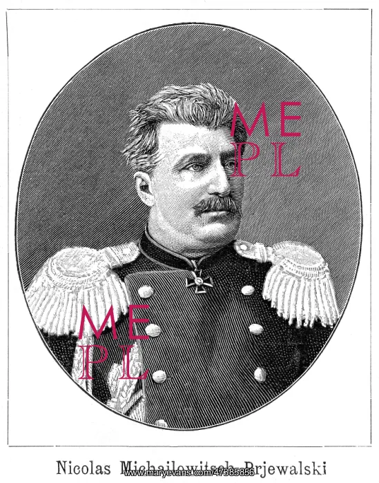 : NICOLAS PREVALSKY : NICOLAS PREVALSKY