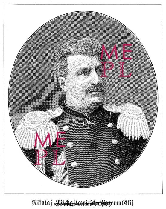: NICOLAS PREVALSKY : NICOLAS PREVALSKY