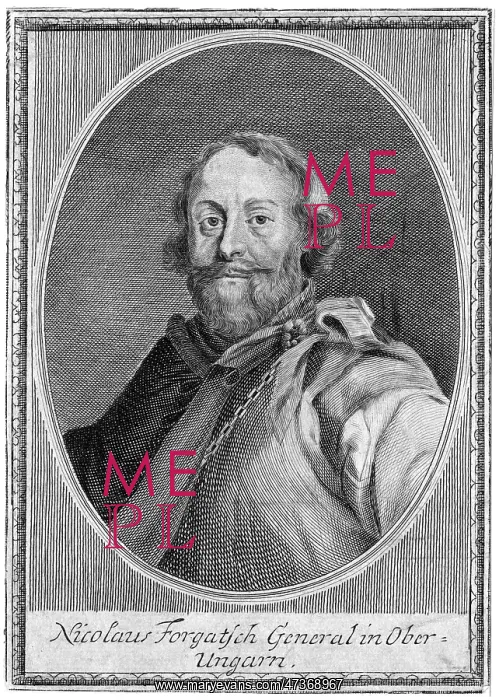  : NICOLAUS FORGATSCH