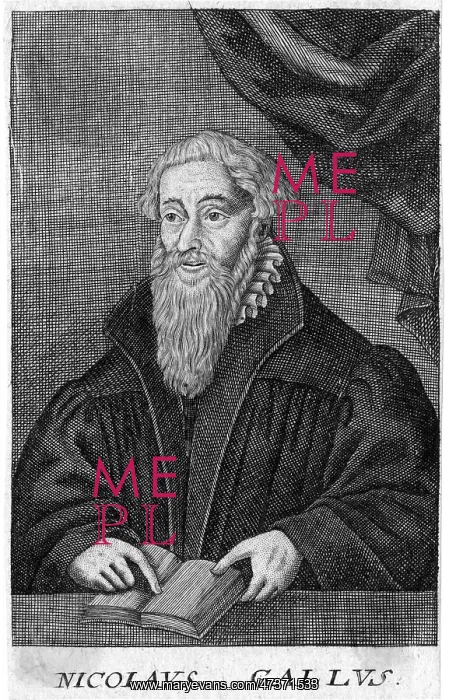 : NICOLAUS GALLUS