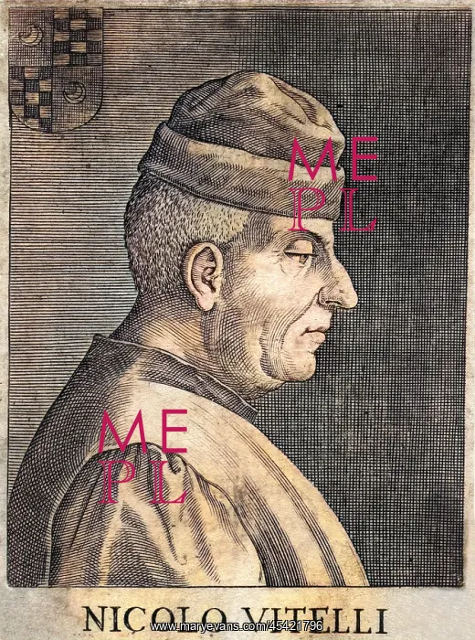 : NICOLO VITELLI : NICOLO VITELLI