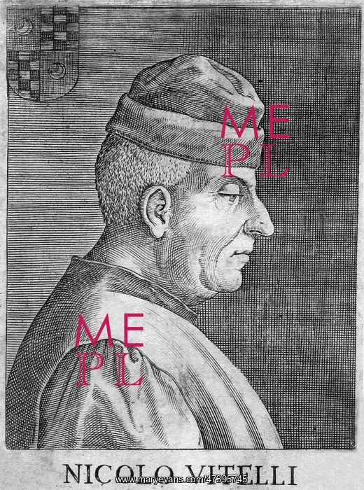 : NICOLO VITELLI : NICOLO VITELLI