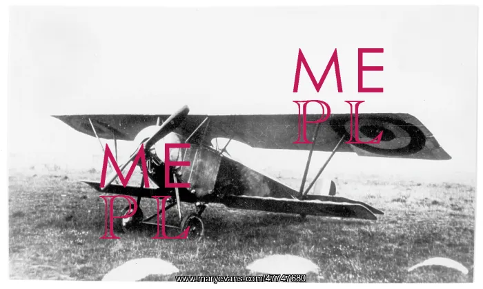  : Nieuport 10