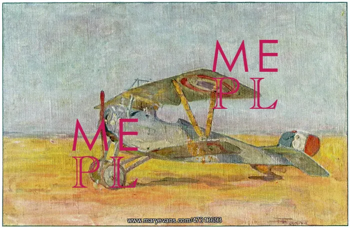  : NIEUPORT BEBE