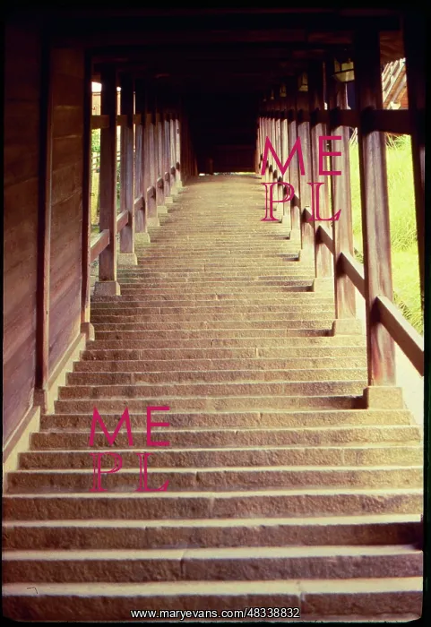  : Nigatsudo, Japan