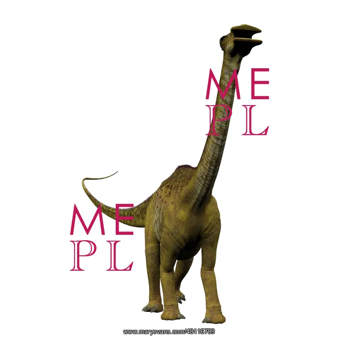  : Nigersaurus dinosaur, front view