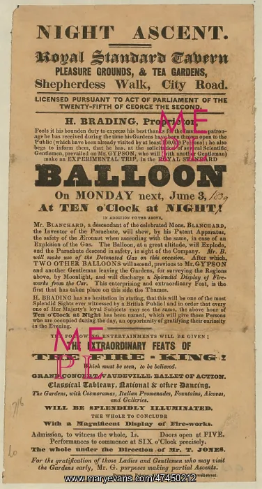 : Night ascent. Royal Standard Tavern, pleasure grounds & tea : Night ascent. Royal Standard Tavern, pleasure grounds & tea
