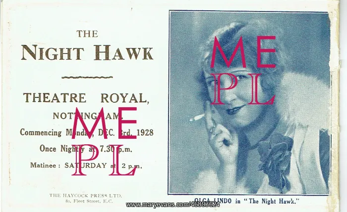 : The Night Hawk by Roland Oliver : The Night Hawk by Roland Oliver