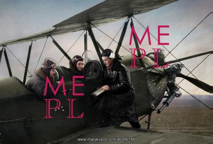 : Night Witches : Night Witches