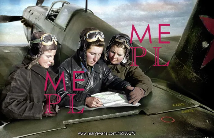 : Night Witches : Night Witches