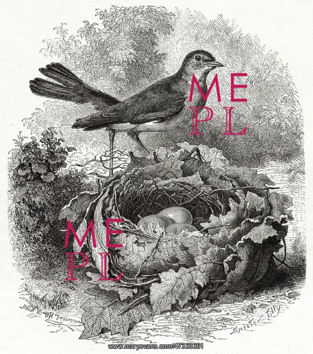  : NIGHTINGALE