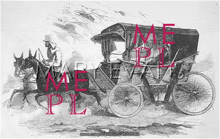 : NIGHTINGALE'S CARRIAGE : NIGHTINGALE'S CARRIAGE