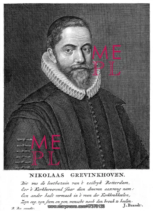: NIKOLAAS GREVINKHOVEN : NIKOLAAS GREVINKHOVEN