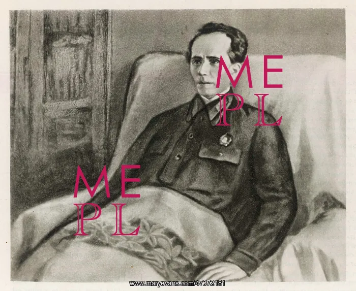 : NIKOLAI OSTROVSKY : NIKOLAI OSTROVSKY