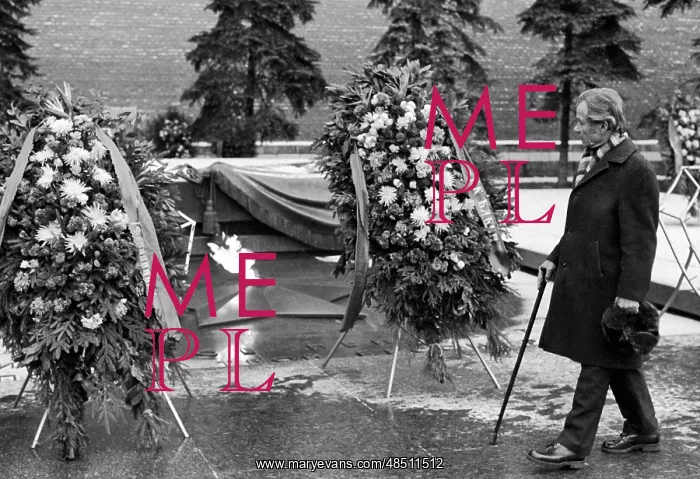 : Nikolai Sitnikov, 1981 : Nikolai Sitnikov, 1981