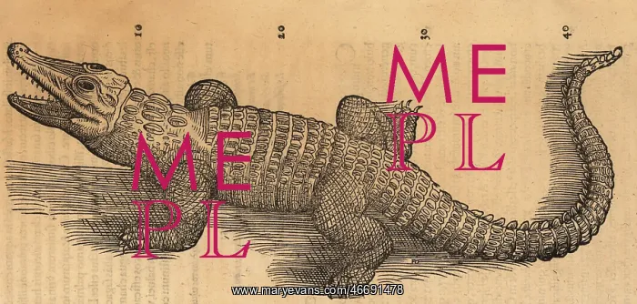 : Nile crocodile or African crocodile, Crocodilum aegyptus : Nile crocodile or African crocodile, Crocodilum aegyptus