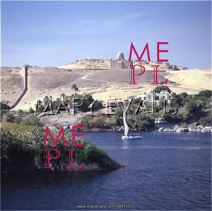 : NILE SCENE : NILE SCENE