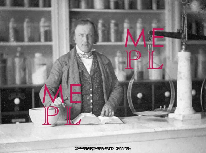 : Nineteenth-Century Chemist : Nineteenth-Century Chemist