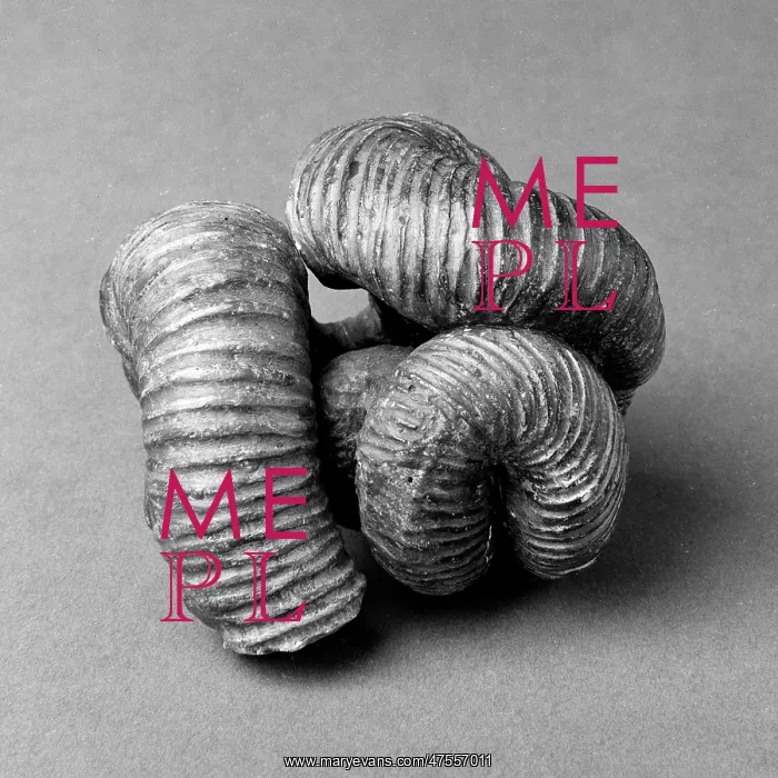 : Nipponites, uncoiled ammonoid : Nipponites, uncoiled ammonoid