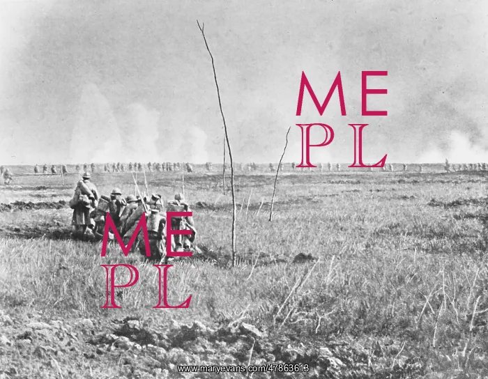  : Nivelle Offensice WWI