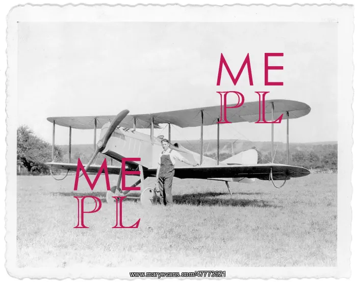 : Nixon Special biplane : Nixon Special biplane