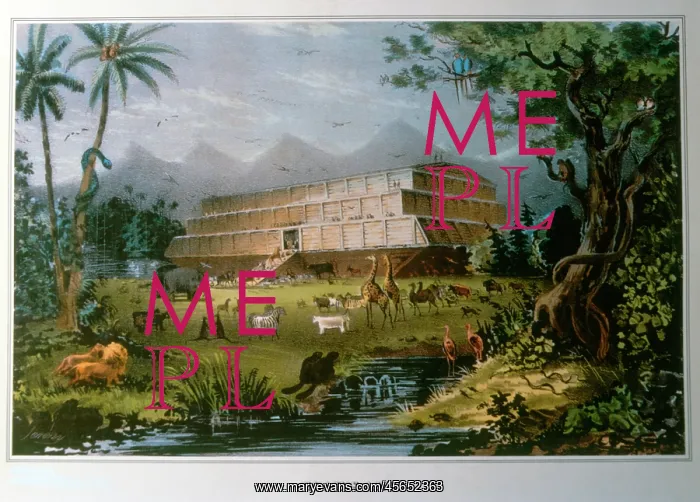 : Noah's Ark : Noah's Ark