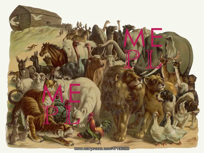  : Noah's Ark