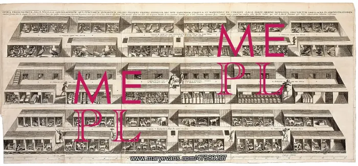 : Noah's Ark : Noah's Ark