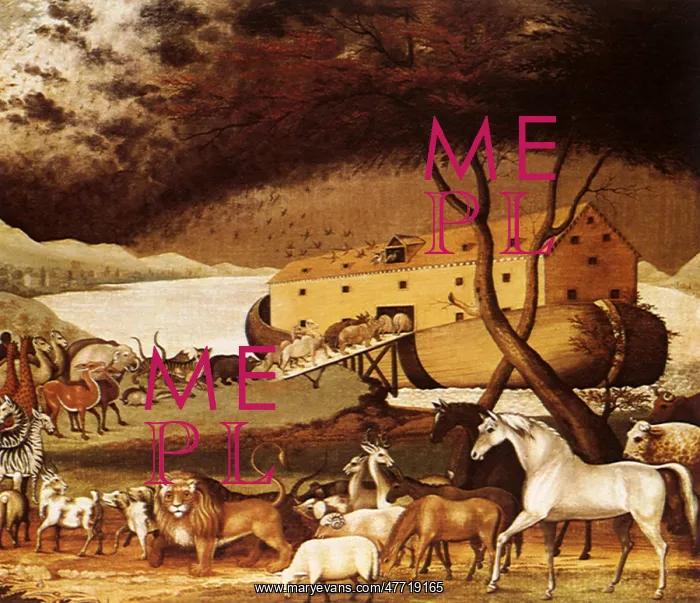  : Noah's Ark