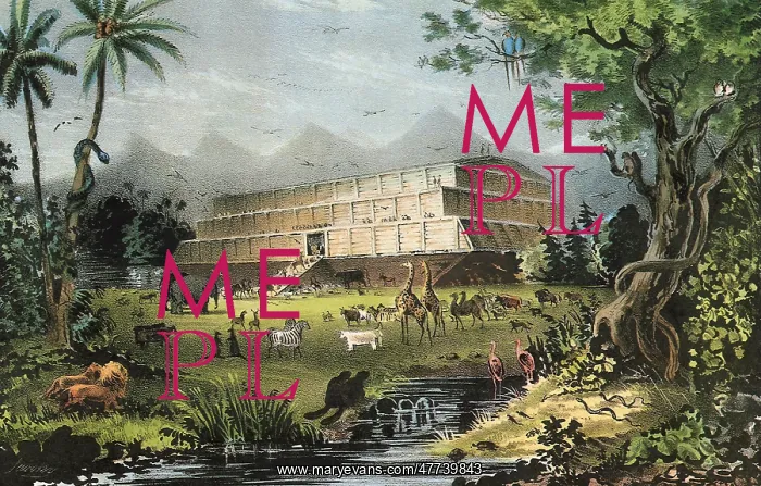 : Noah's Ark