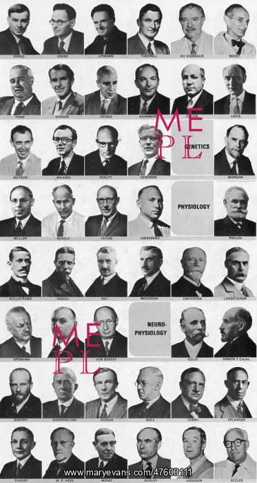: Nobel Prize Winners : Nobel Prize Winners