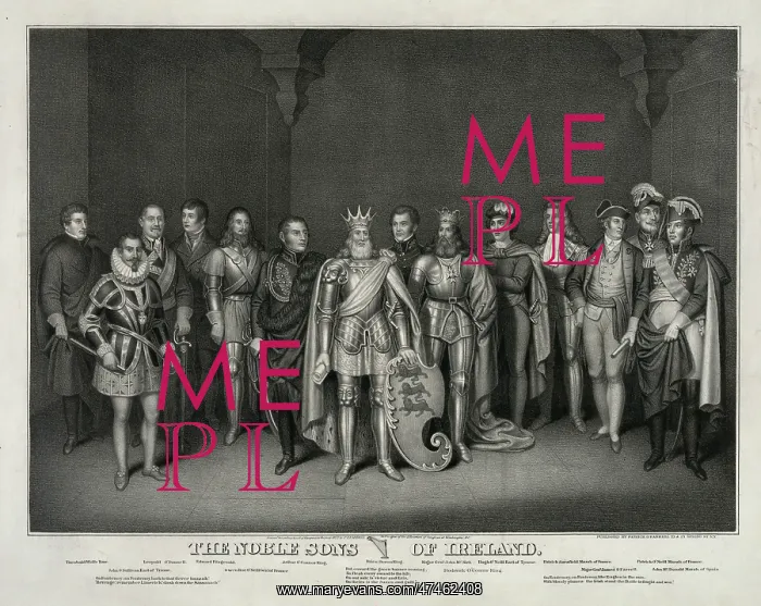 : The noble sons of Ireland : The noble sons of Ireland
