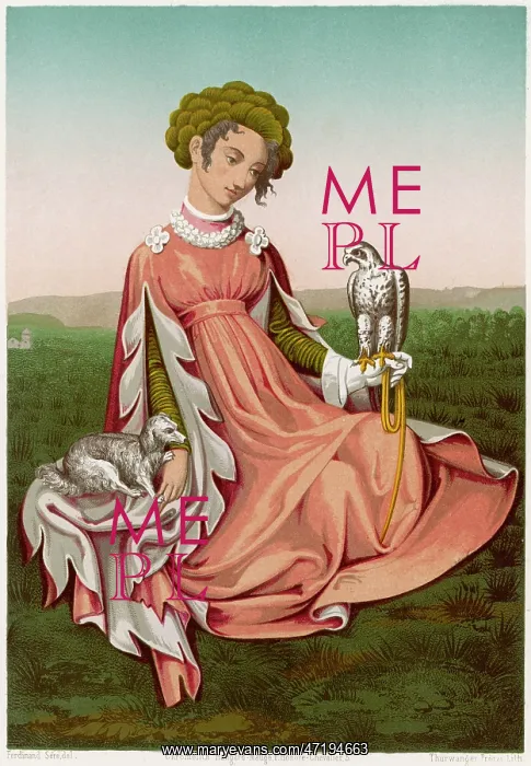 : NOBLEWOMAN AND HAWK : NOBLEWOMAN AND HAWK