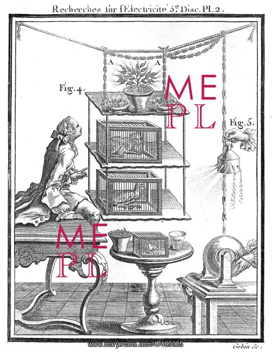  : NOLLET EXPERIMENT 3