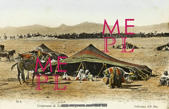 : Nomad Camp - Algeria : Nomad Camp - Algeria
