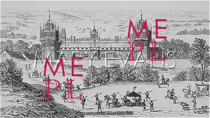 : NONSUCH PALACE / HOLLIS : NONSUCH PALACE / HOLLIS