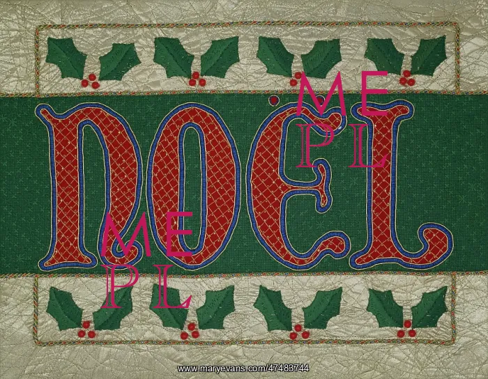  : Nool ' embroidered Nool with holly