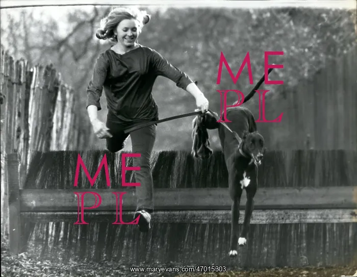 : Nora McEllistrim training greyhound puppy, Nora's First : Nora McEllistrim training greyhound puppy, Nora's First
