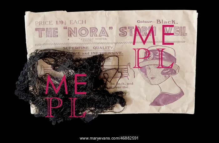  : Nora Storm Veil