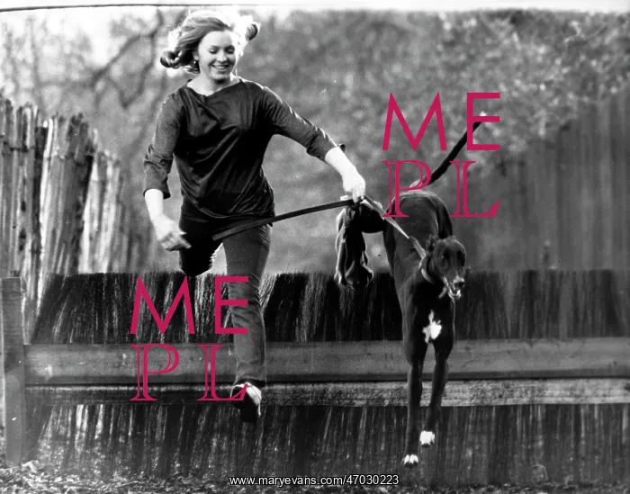 : Norah McEllistrim and Greyhound Train : Norah McEllistrim and Greyhound Train