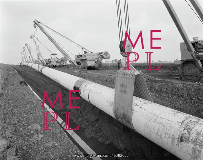 : Norfolk. A row of Caterpillar 583 pipelayers with side booms lifting the : Norfolk. A row of Caterpillar 583 pipelayers with side booms lifting the