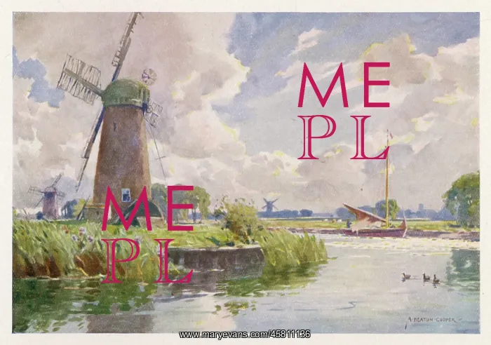  : NORFOLK BROADS / THURNE