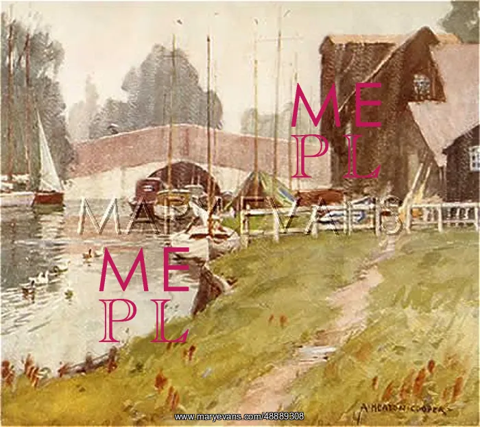  : NORFOLK BROADS / WROXHAM